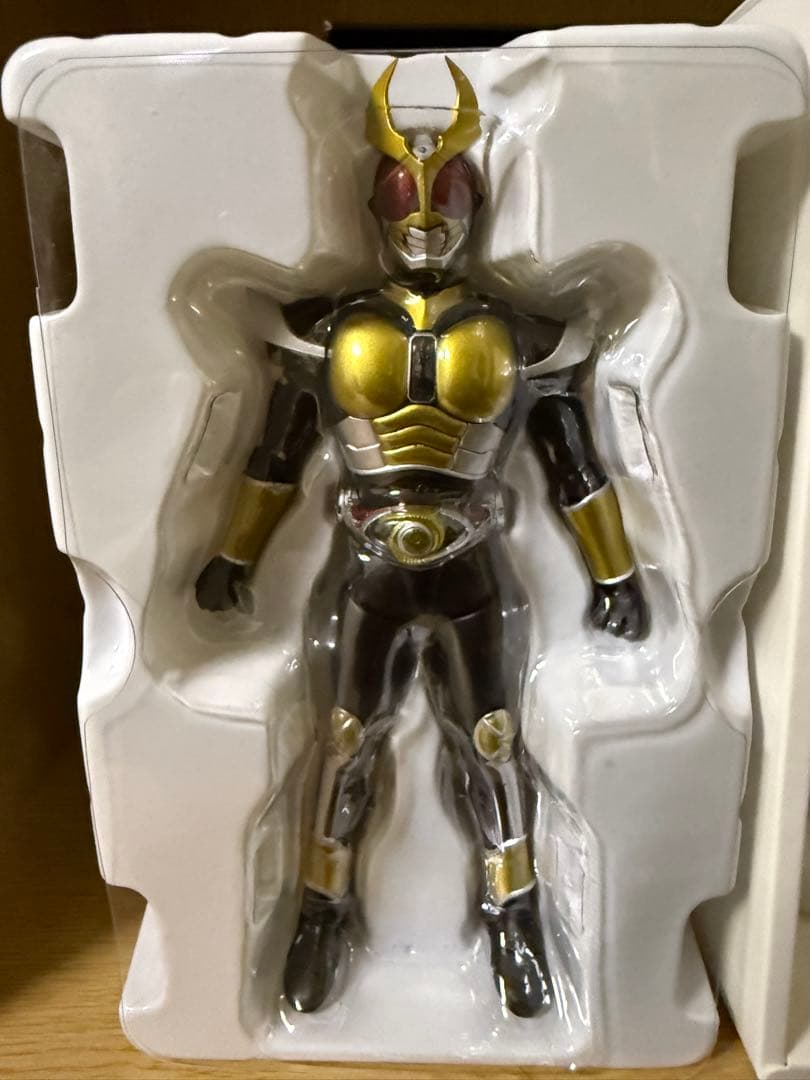 SHフィギュアーツ（真骨頂製法）仮面ライダー アギト