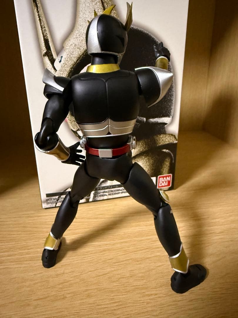 SHフィギュアーツ（真骨頂製法）仮面ライダー アギト