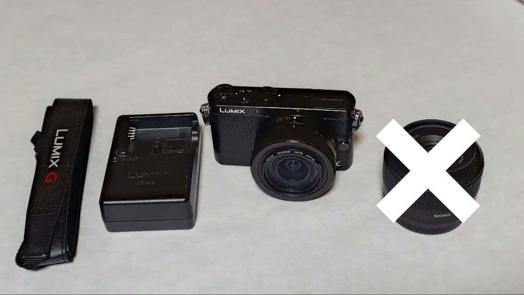 Panasonic GM1 標準ズームレンズセット