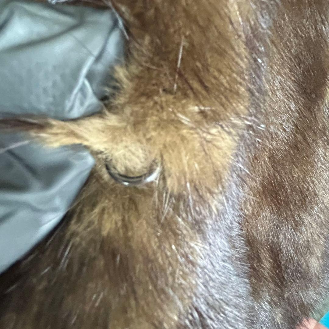 SAGA MINK 銀タグブラウンファーコート13号