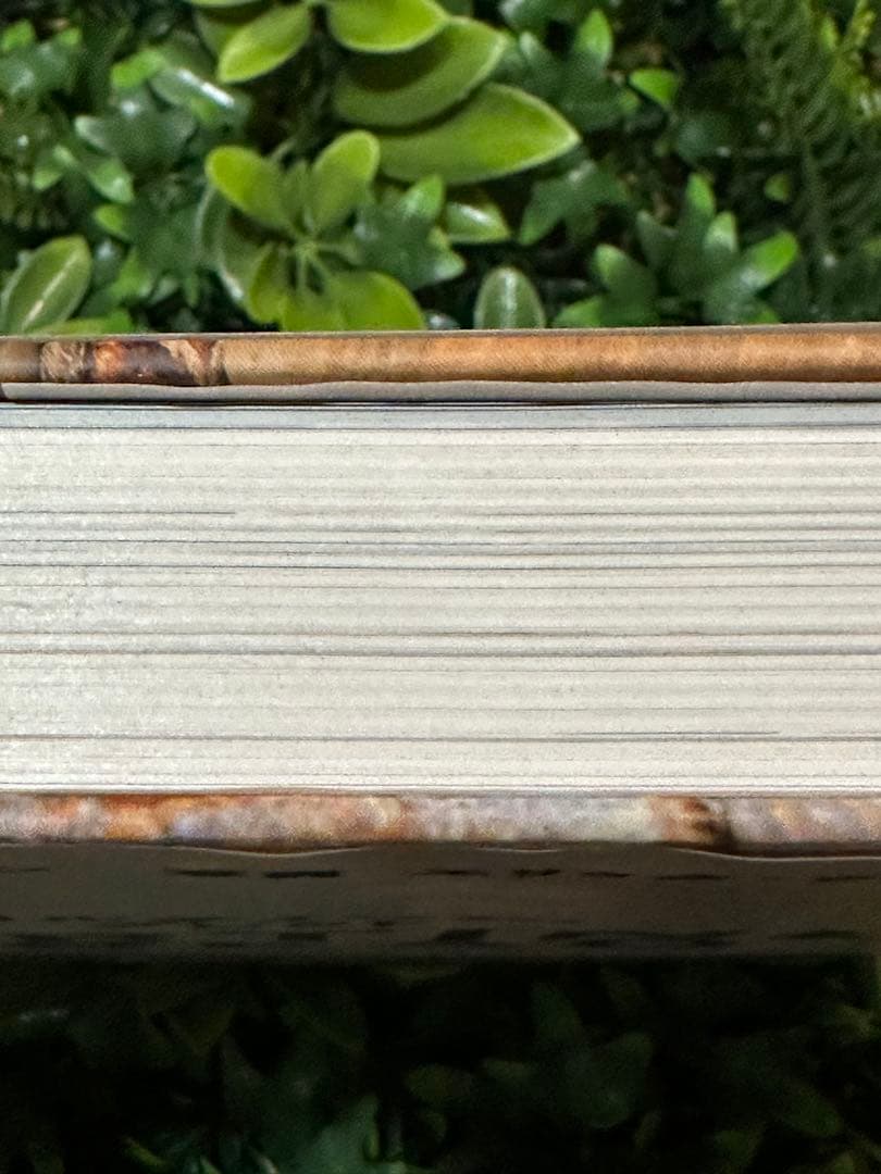 タルティーン・ブレッド チャド・ロバートソン クロニクルブックス