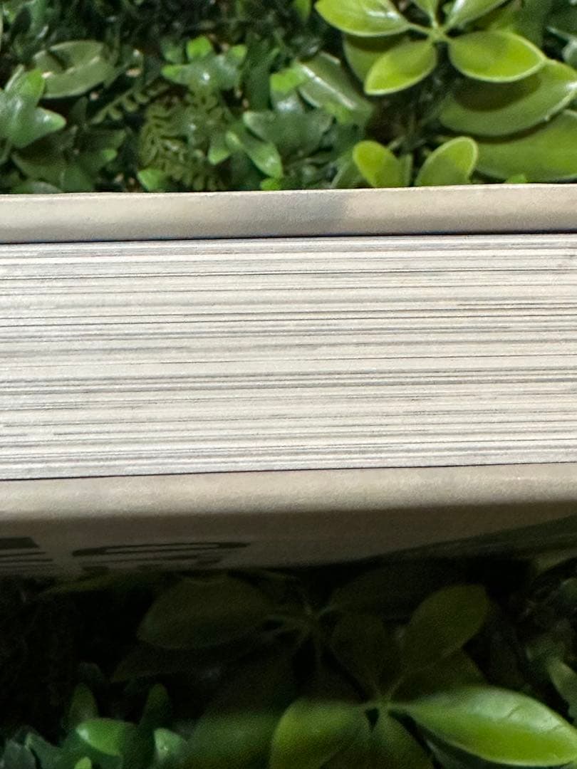 タルティーン・ブレッド チャド・ロバートソン クロニクルブックス