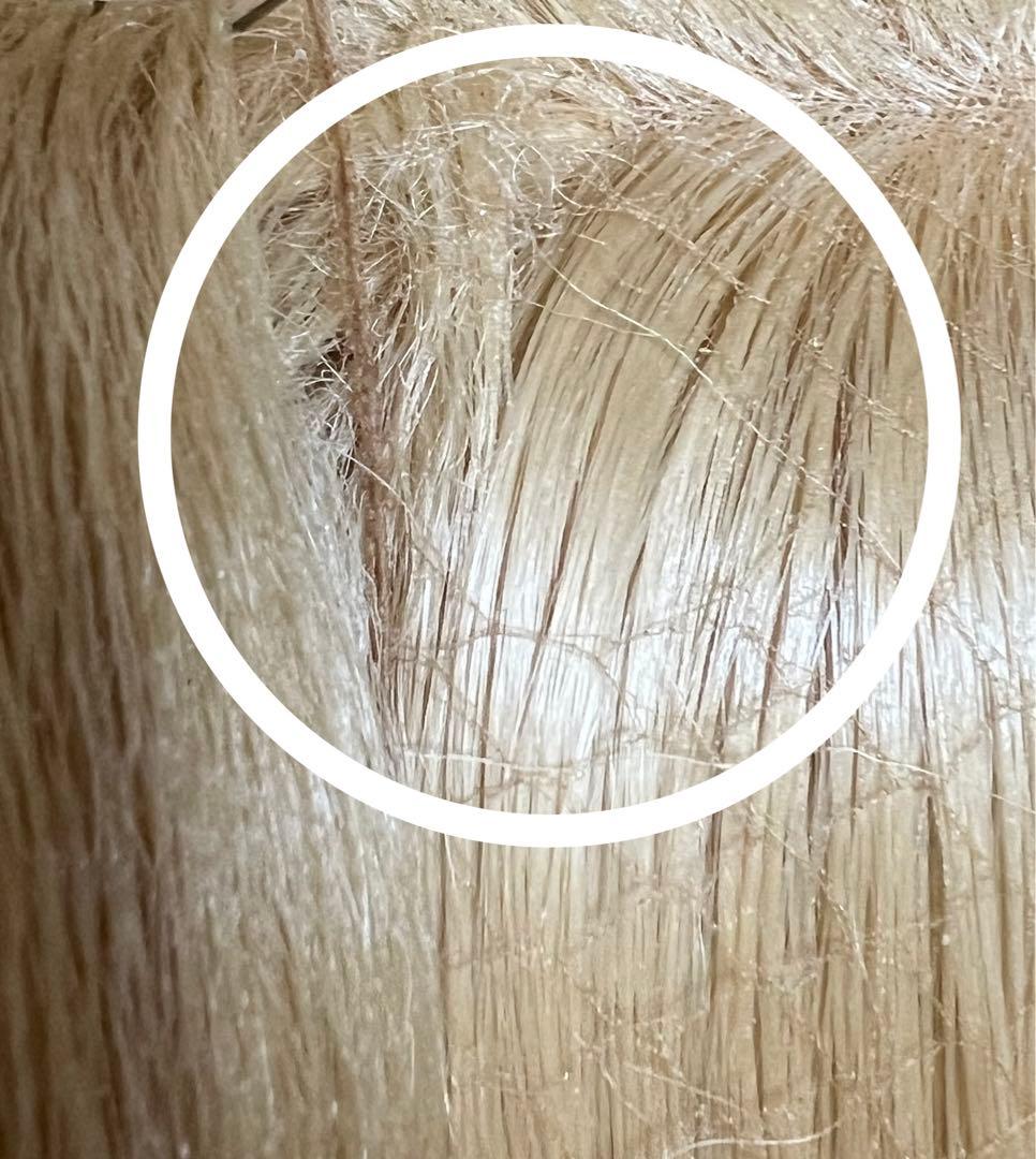 フリー出品 訳あり ラプンツェル イメージウィッグ ディズニー dハロ仮装