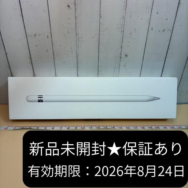 iPadアクセサリー Apple Pencil A1603