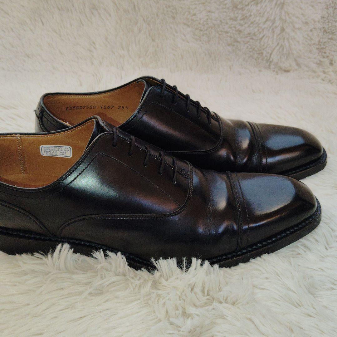 REGAL　ストレートチップ　　V247　黒 25.5