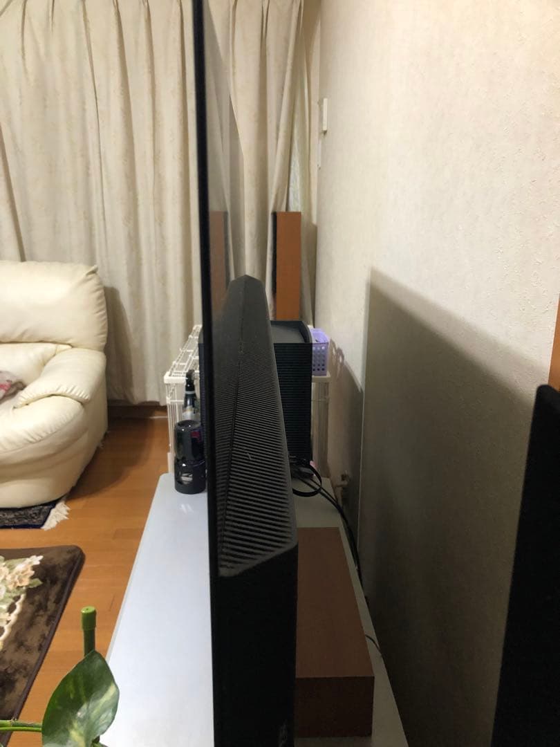 55型パナソニック有機EＬTV