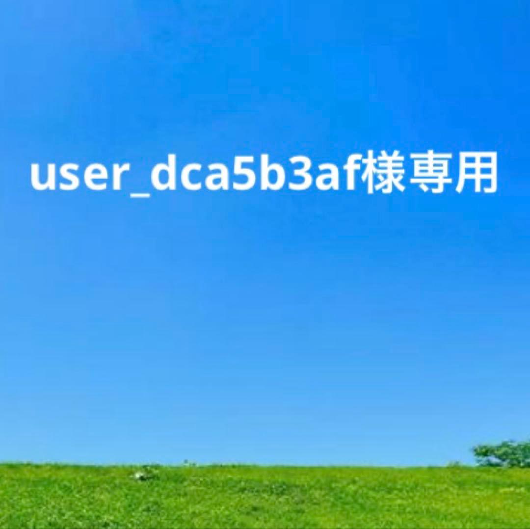 未使用　IL BISONTE　イルビゾンテ　レザーフラップ長財布　黒　ブラック