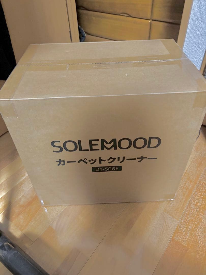 SOLEMOOD DY-506E カーペットクリーナー