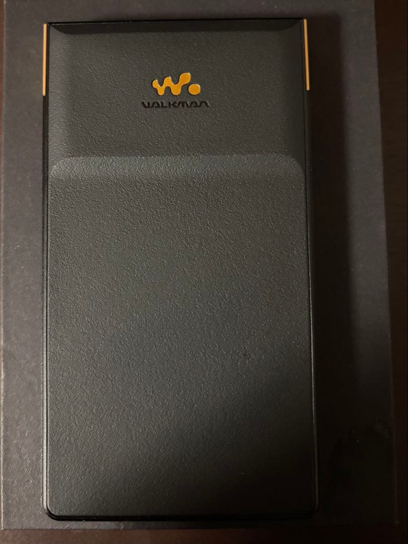 SONY Walkman NW-ZX707【保証付き】