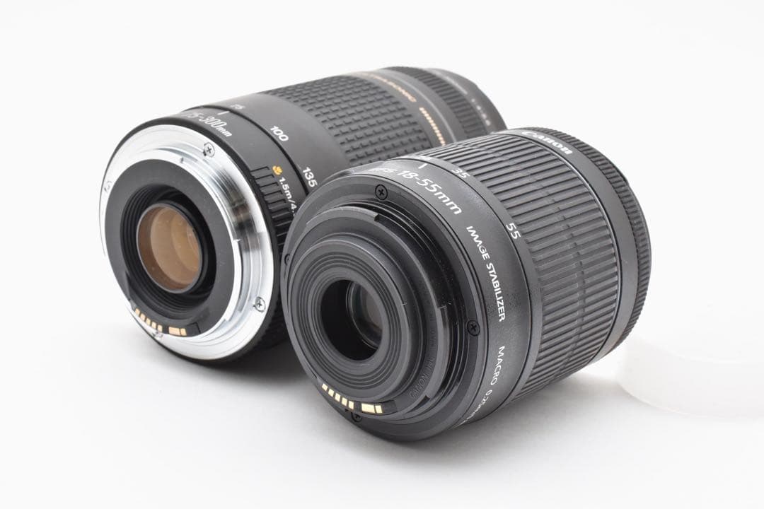 デジタル一眼レフカメラcanon kiss x9標準&望遠ダブルレンズセット