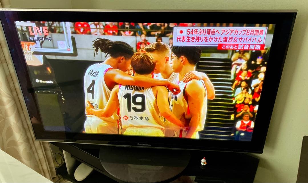 Panasonic プラズマテレビ TH-P50V1 50インチ