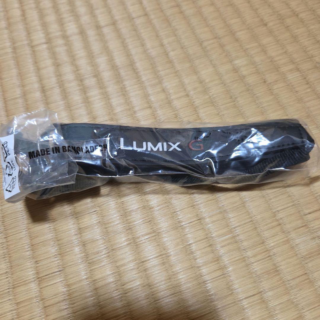 LUMIX DC-G100DK ミラーレス一眼 標準ズームレンズキット