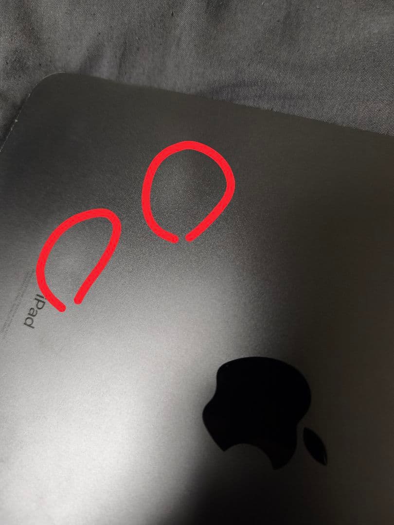 【シーズー】iPad Pro 11 2021(M1) 256GB ジャンク