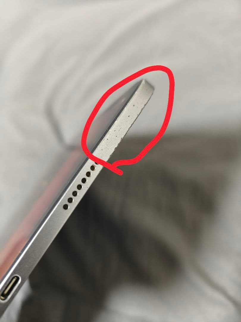 【シーズー】iPad Pro 11 2021(M1) 256GB ジャンク