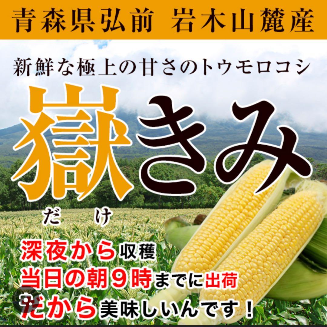 青森県産とうもろこし真空パック（獄きみ）30本入1箱