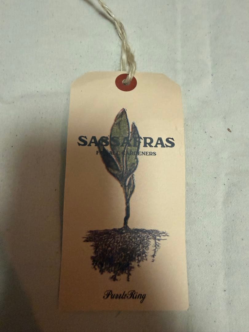 SASSFRAS Hunter Jacket/ベージュ/S