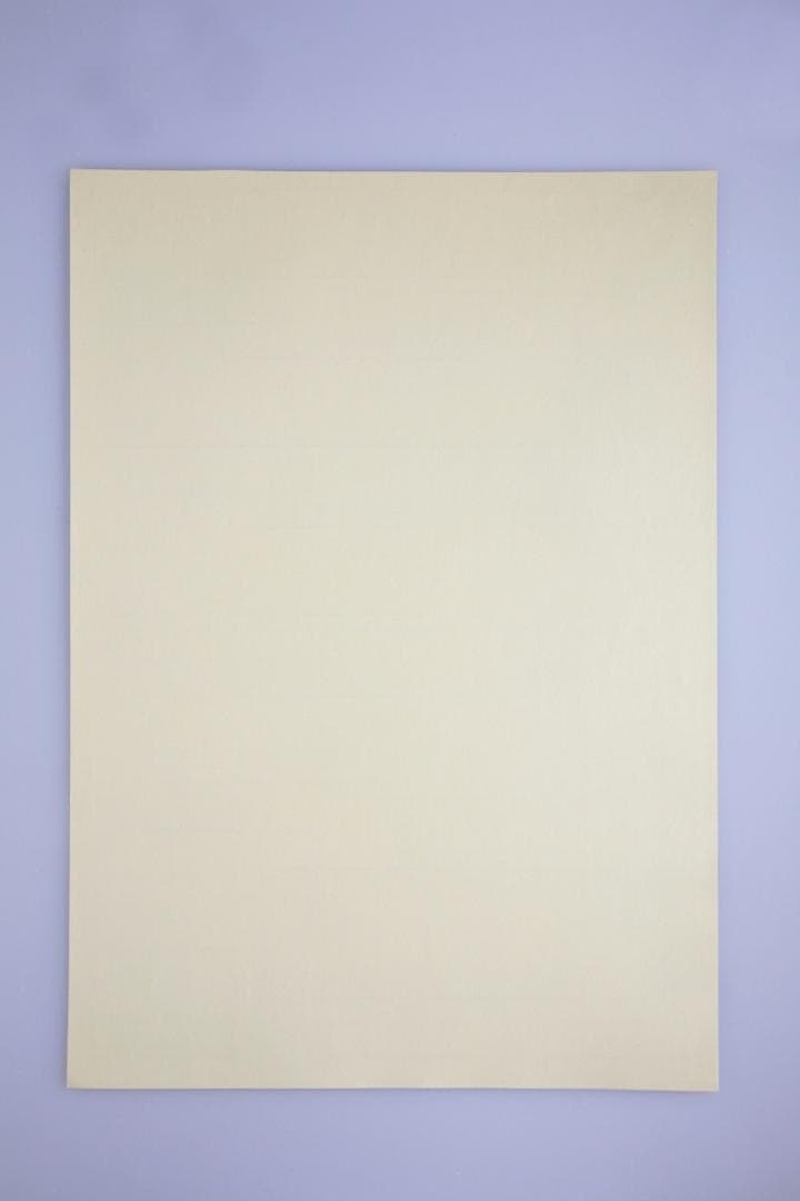 激レア! 当時物 非売品 ハッセルブラッド hasselblad ステッカー