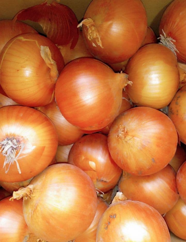 玉ねぎL13kg程度＆新潟産里芋5kg＆にんにく1kg＆シルクスイート10kg