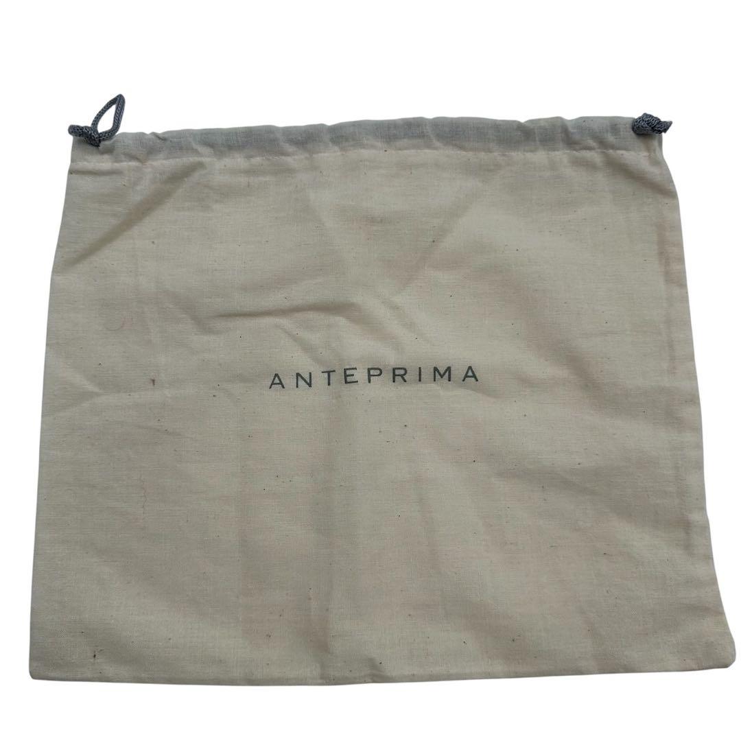 ANTEPRIMA ハンドバッグ スタンダード ミディアム ワイヤー シルバー系