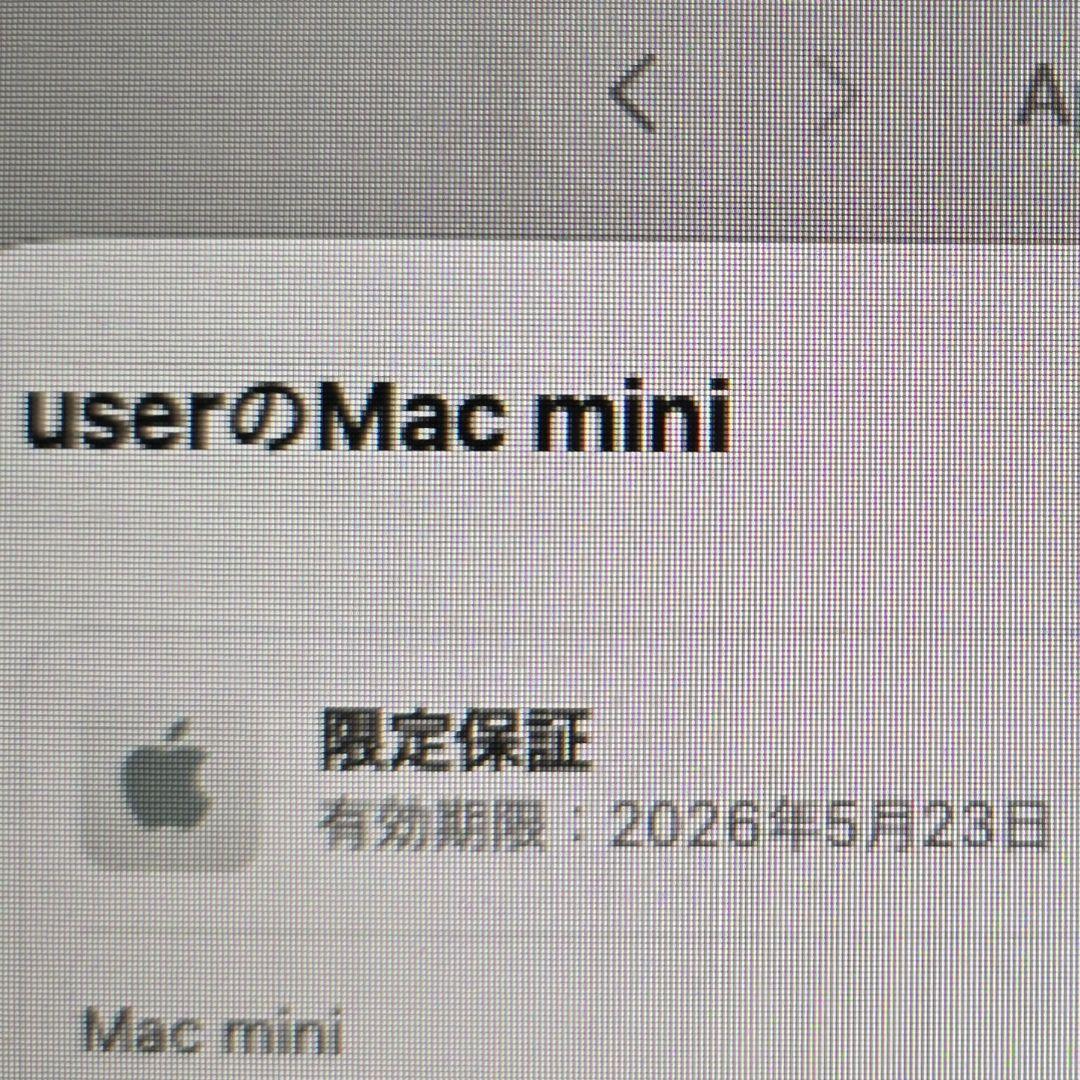 【Apple Care+残あり】 M4 Mac mini 16GB/ 256GB