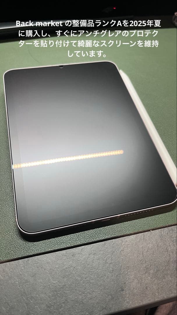 Apple iPad mini 第6世代セルラー256GB【バッテリー100%】