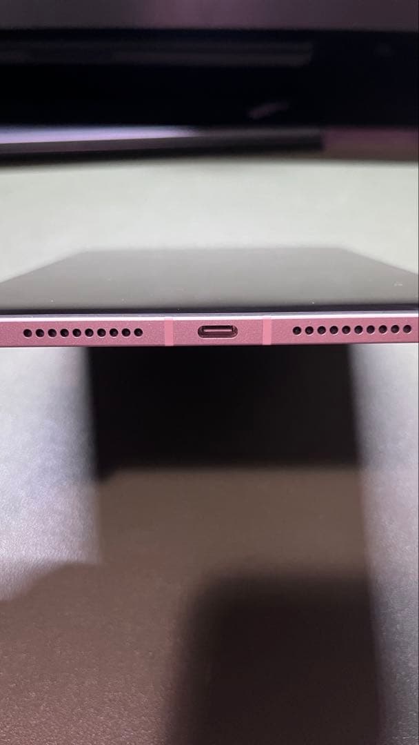 Apple iPad mini 第6世代セルラー256GB【バッテリー100%】