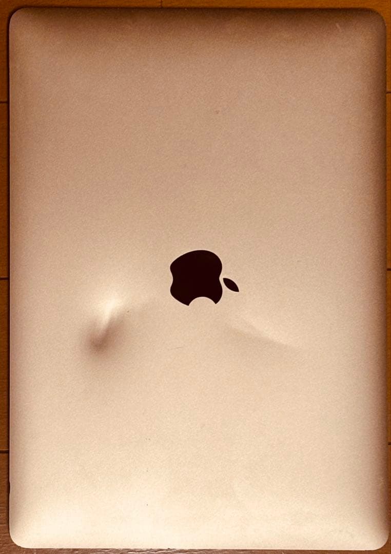 MacBook Air M1クラムシェルモード（蓋を閉じての使用）でのみ利用可能