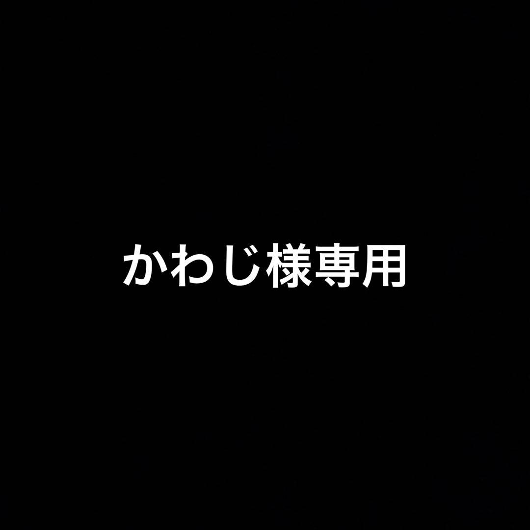下位賞付 一番くじ ワンピース EX 魂豪示像 悪魔の実を宿す者達 ガンフォール