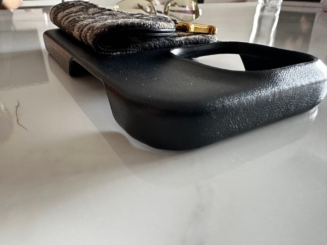 クリスチャン・ディオールSaddle iPhone14pro ケース