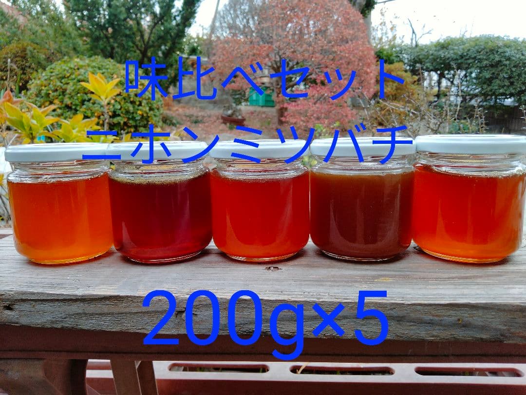 日本蜜蜂　百花蜜　200g×5　天然非加熱　　　ハチミツ　5種の味比べセット 5