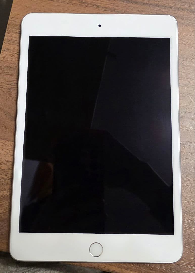 iPad mini(第５世代) Wi-Fi256GBシルバー　　 非純正ペン付き
