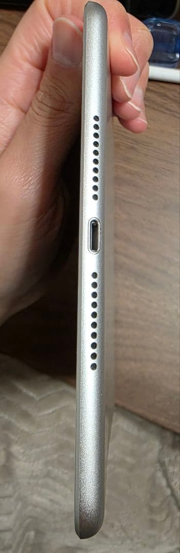 iPad mini(第５世代) Wi-Fi256GBシルバー　　 非純正ペン付き