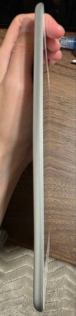 iPad mini(第５世代) Wi-Fi256GBシルバー　　 非純正ペン付き