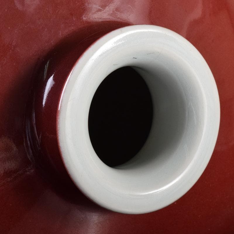 中国　缸豆紅釉　龍文瓶　梅瓶　M　7313A