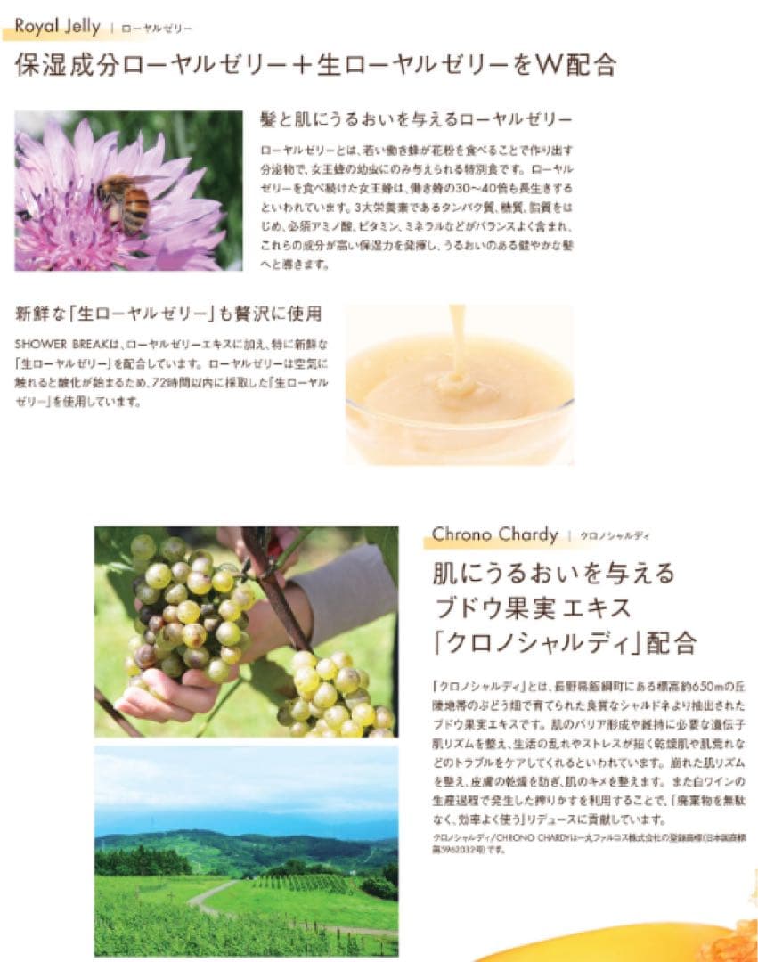 【新品セット】POLA シャワーブレイク シャンプー&コンディショナー各10L