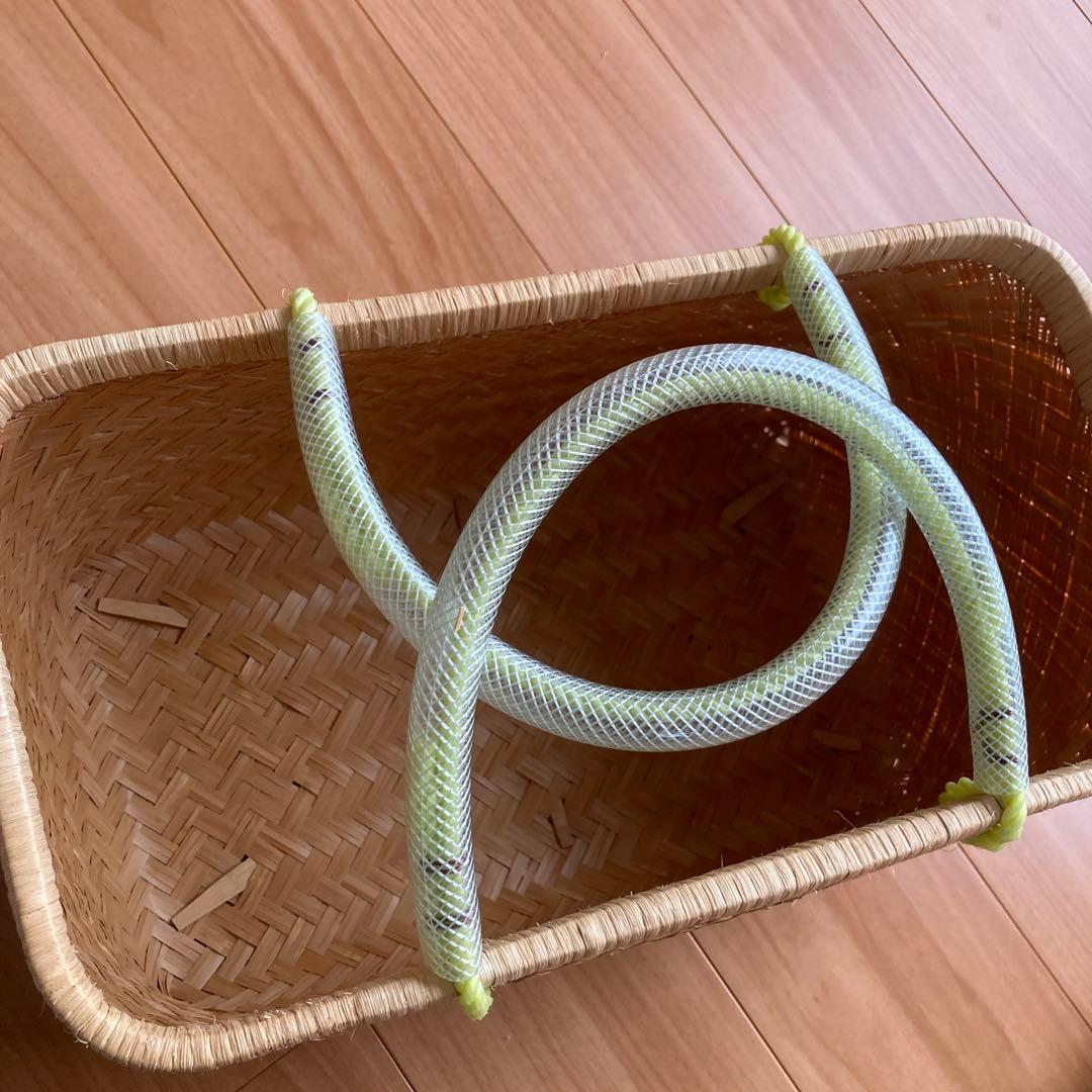 竹市場カゴ　自宅保存