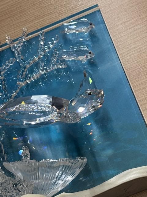 年始セール★SWAROVSKI 会員限定 ワンダーオブザシー エタニティー 亀