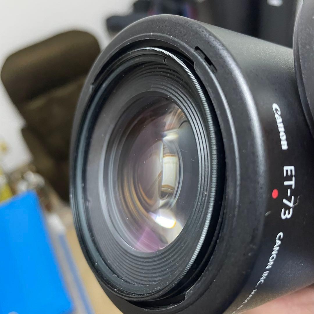 l*s様 Canon キャノン EF 100mm f/2.8 L IS レンズ