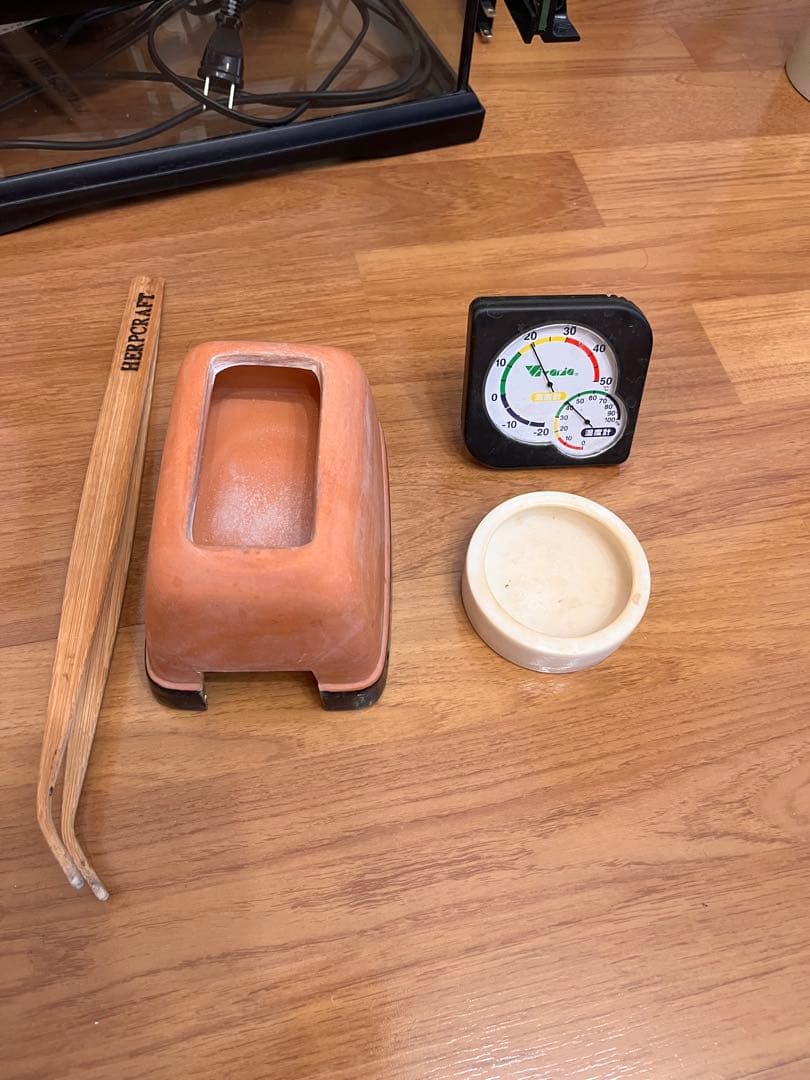 ジェックス　グラステラリウム3030 暖突s パネルヒーター　飼育セット