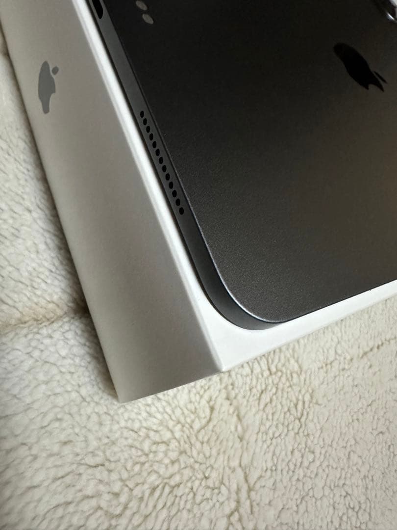 Apple pencil2とiPad 11インチ第２世代Wi-Fi128GB