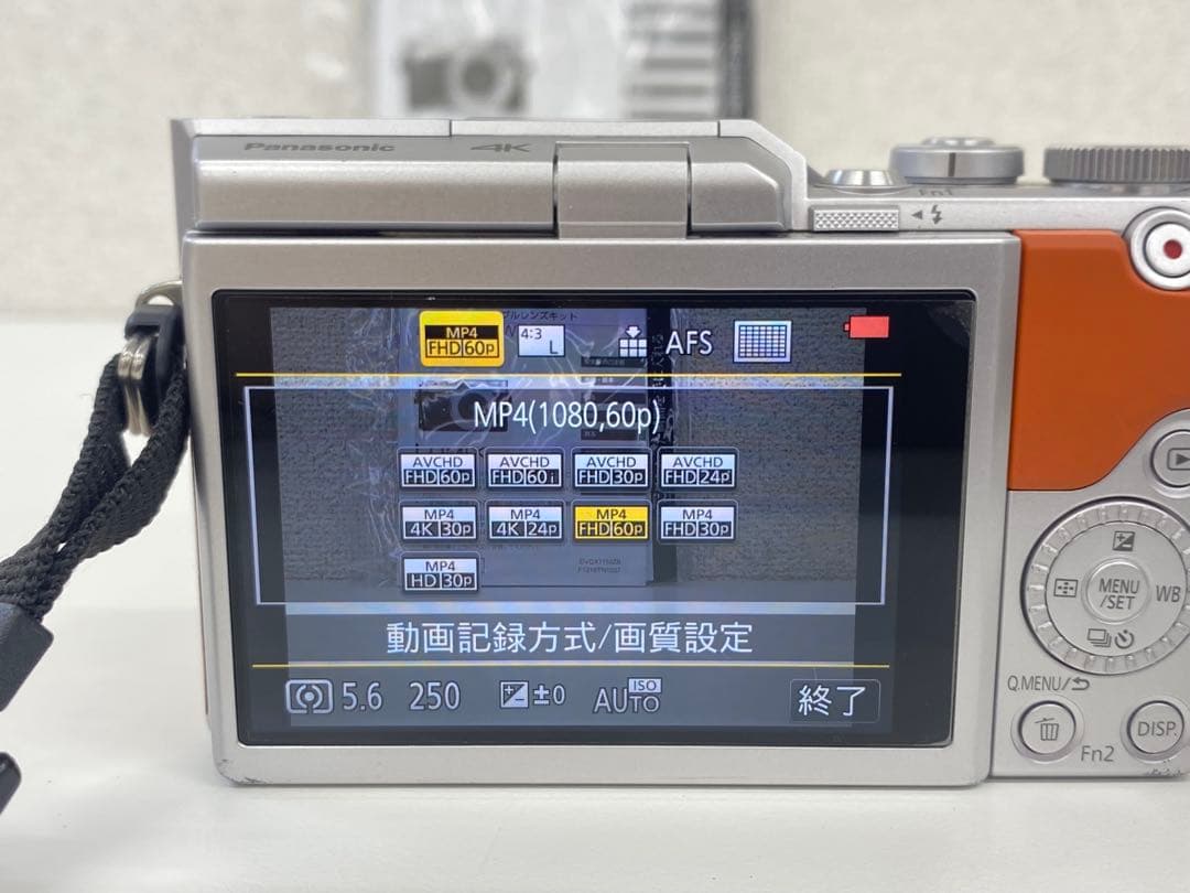 Panasonic パナソニック LUMIX DC-GF9W デジタルカメラ