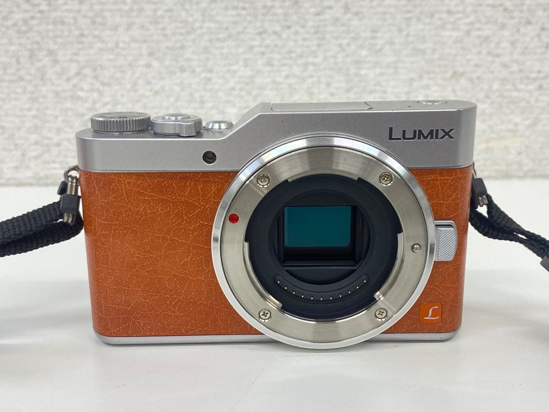 Panasonic パナソニック LUMIX DC-GF9W デジタルカメラ