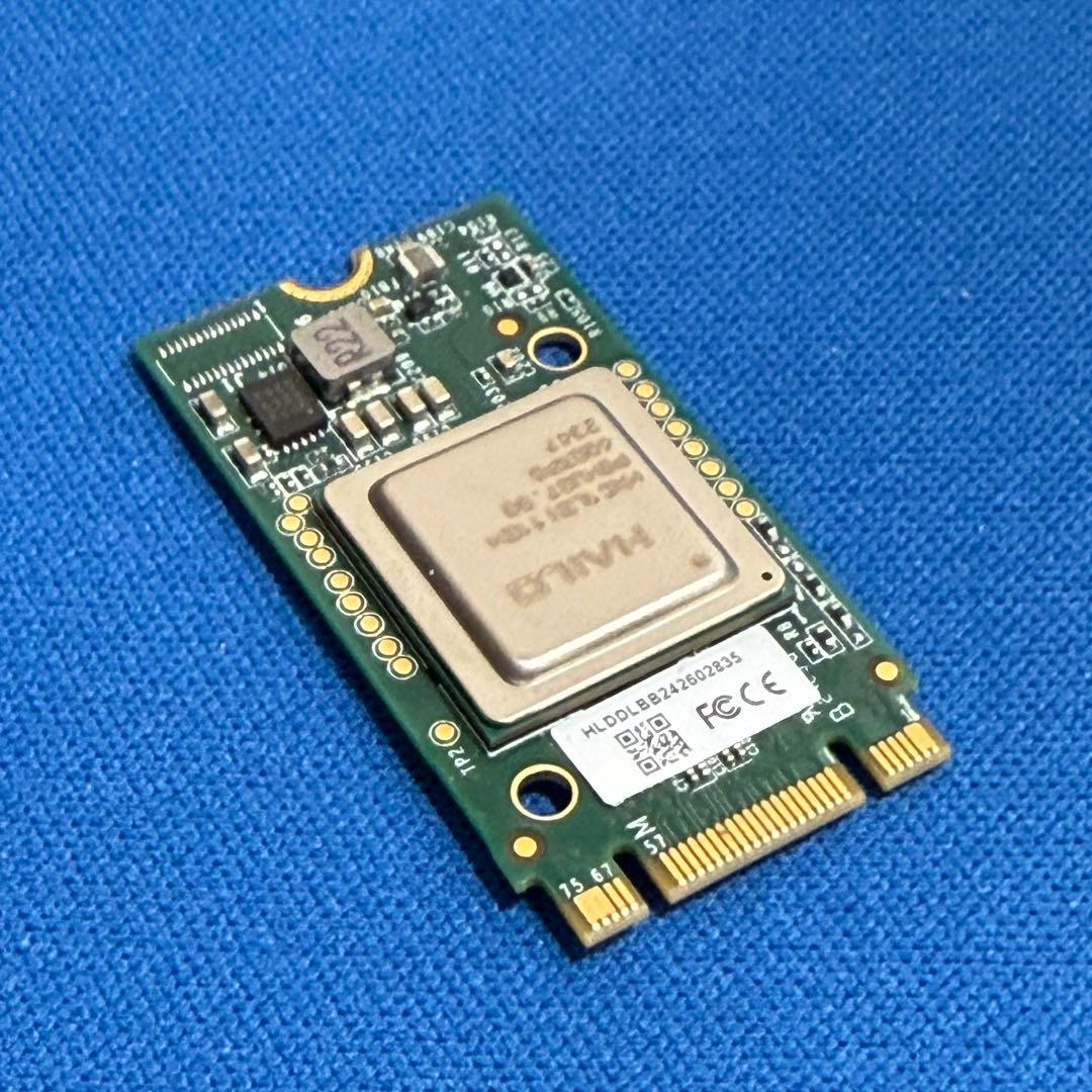 Hailo AI acceleration module(raspi5用)