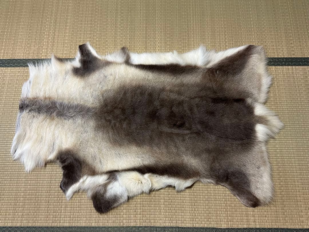 み*ん様 DALUM REINDEER トナカイ Lサイズ 毛皮