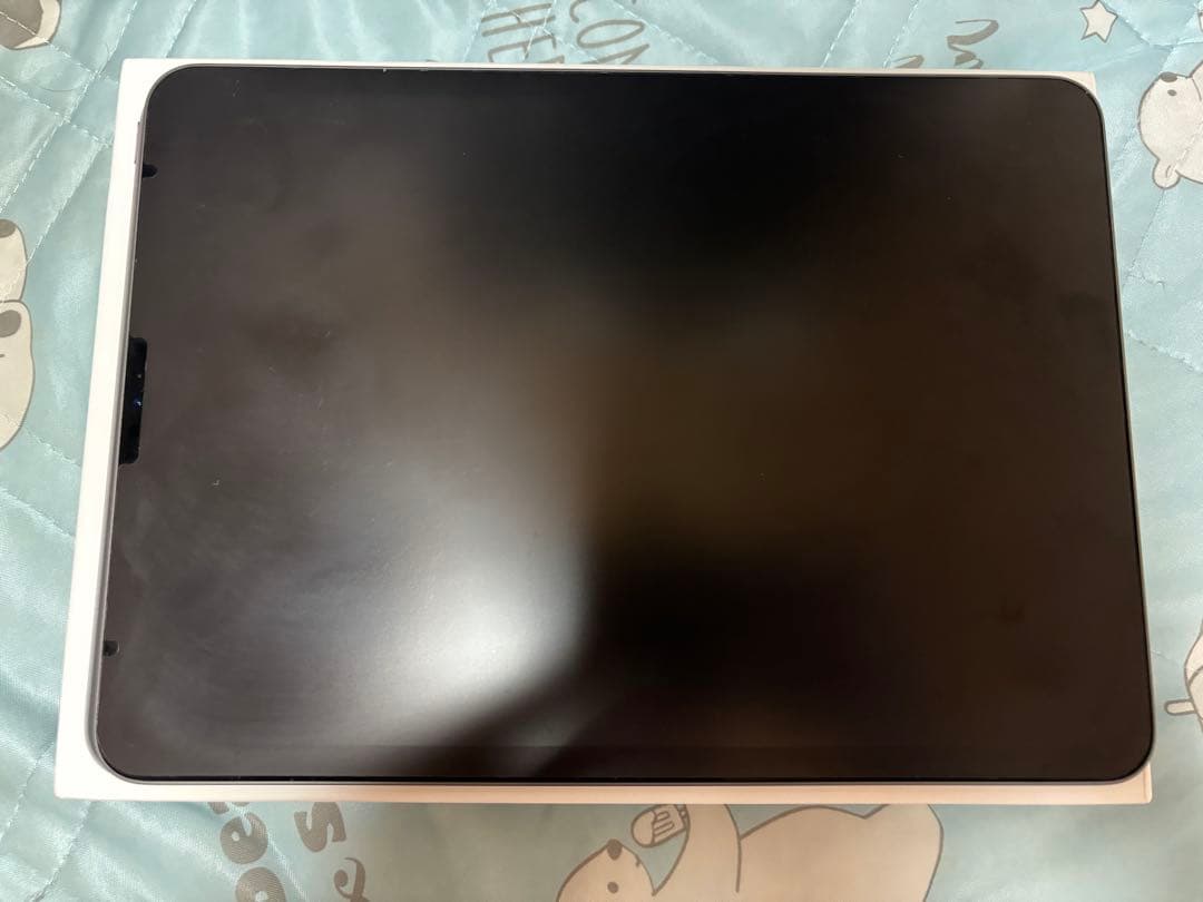 iPadPro11インチ 第2世代