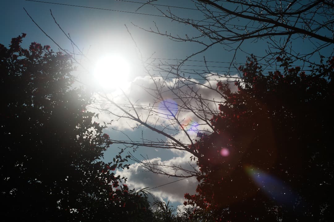 【整備＆テスト】オリンパス G.Zuiko auto 50mm F1.4 002