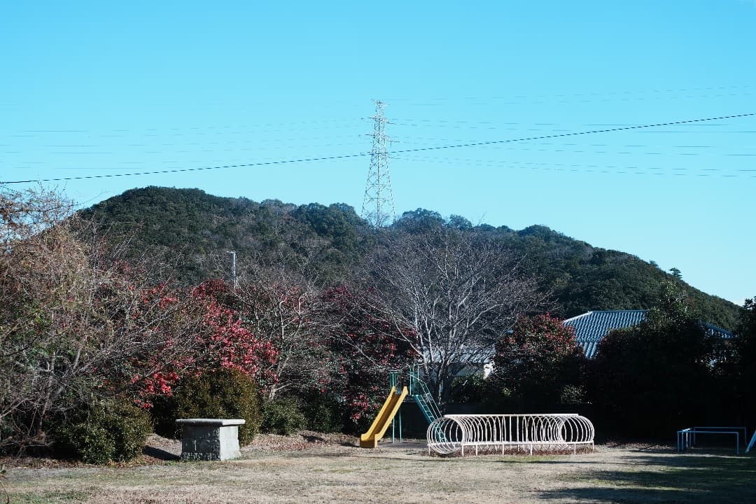 【整備＆テスト】オリンパス G.Zuiko auto 50mm F1.4 002