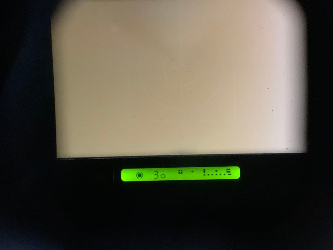 フィルムカメラ NIKON F4