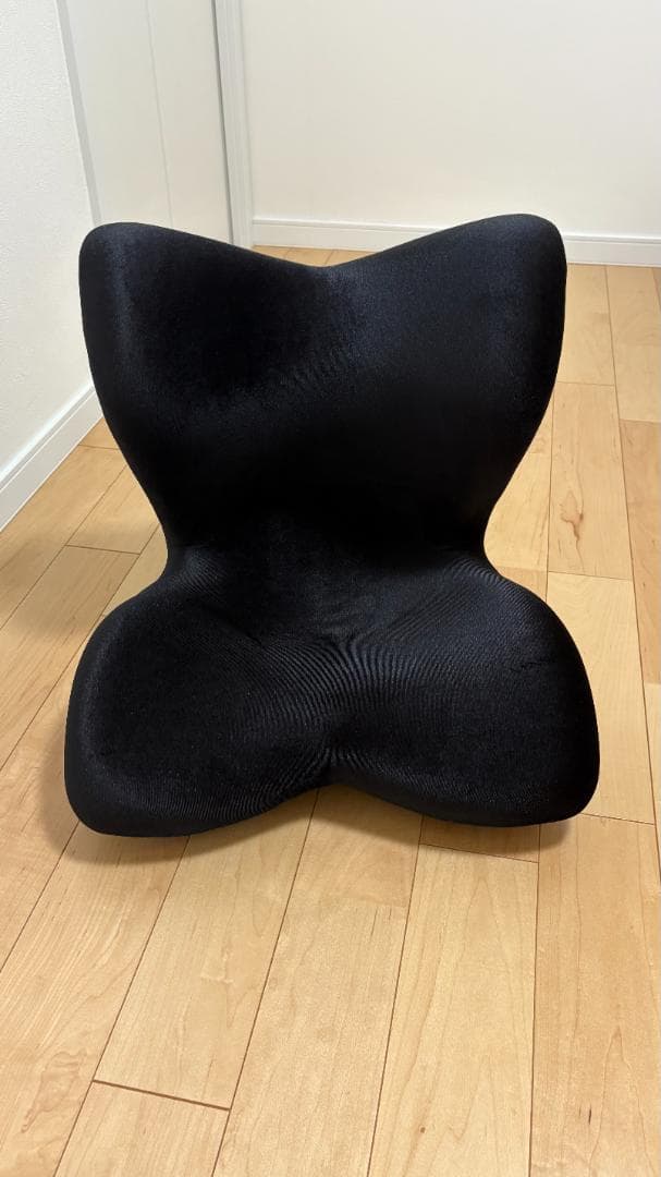 [美品]Style PREMIUM DX/スタイル プレミアム デラックス