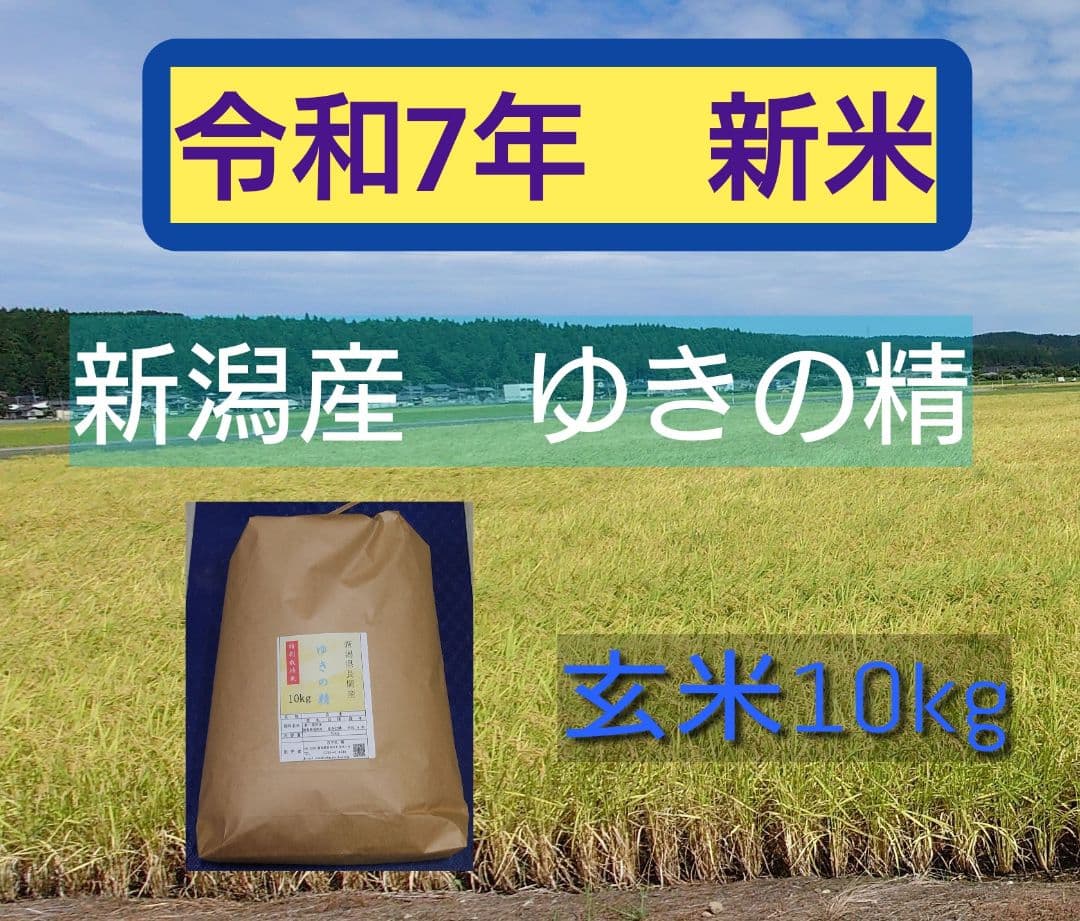 新潟産 ゆきの精 玄米 10kg